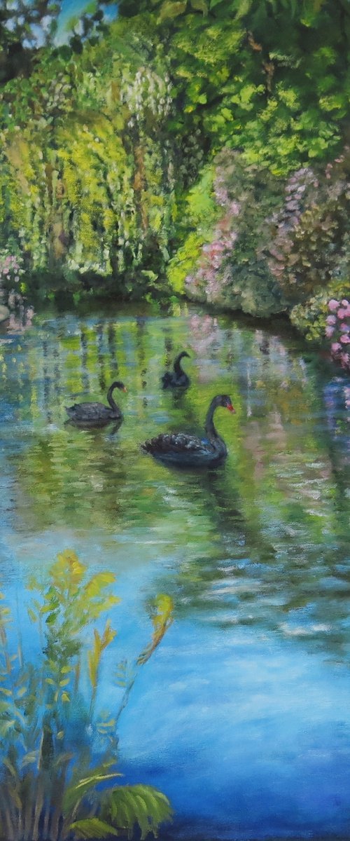 Three Black Swans by Maureen Greenwood