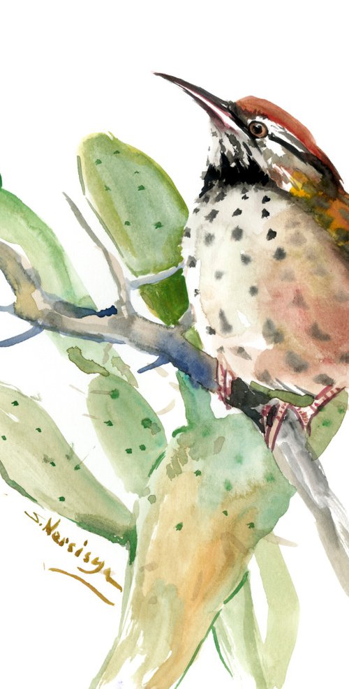 Cactus Wren Bird art by Suren Nersisyan