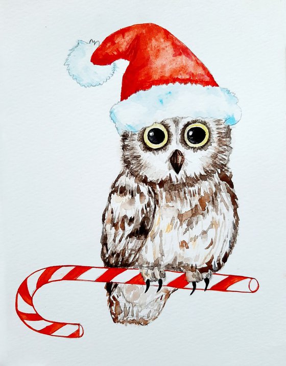 Owl, Merry Christmas