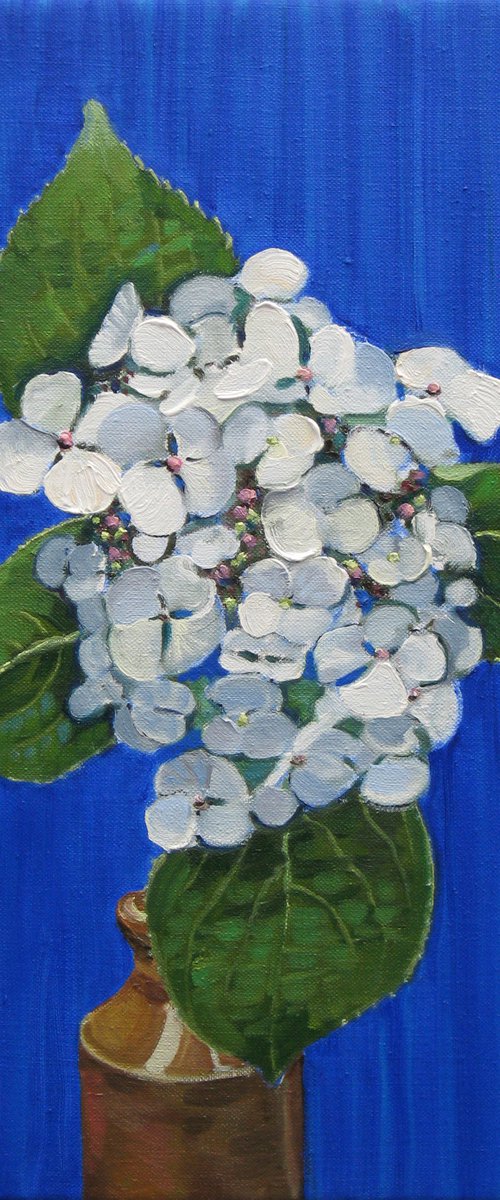 Hydrangea 1 by Richard Gibson