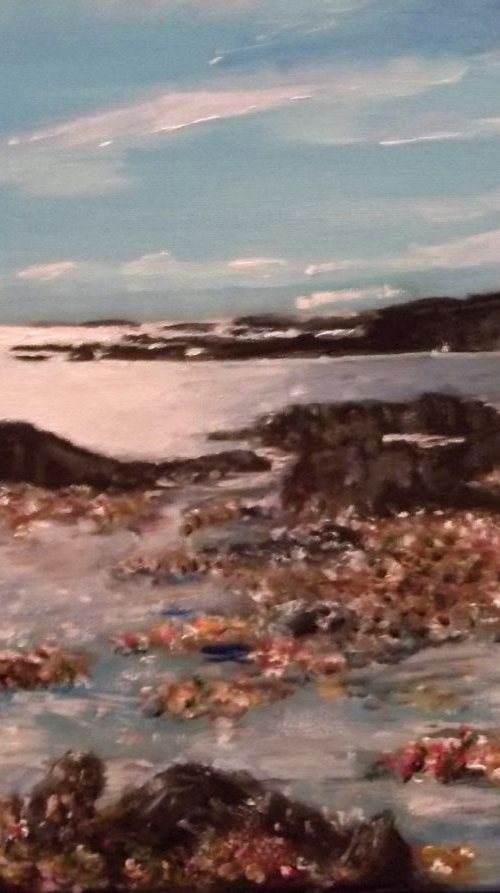 Mussel Shoreline NW Scotland by Joe McNichol