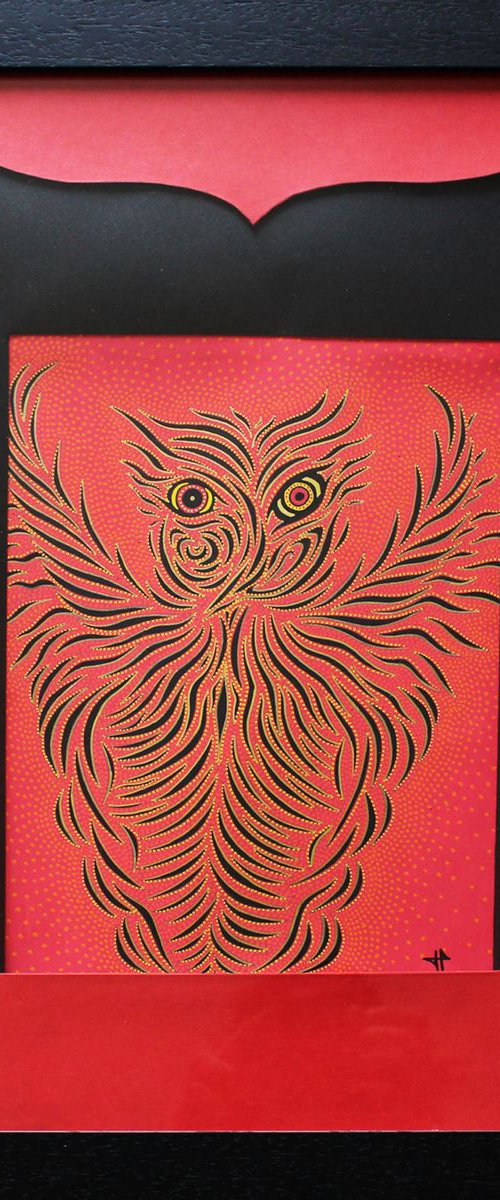 Owl by Jonathan Pradillon