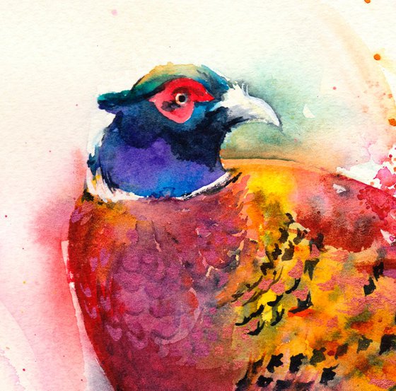 Pheasant - Watercolour Painting