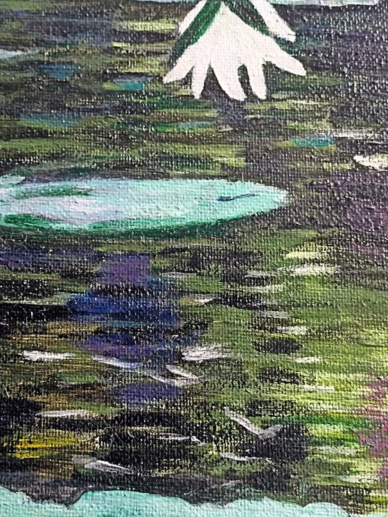 Waterlilies 2