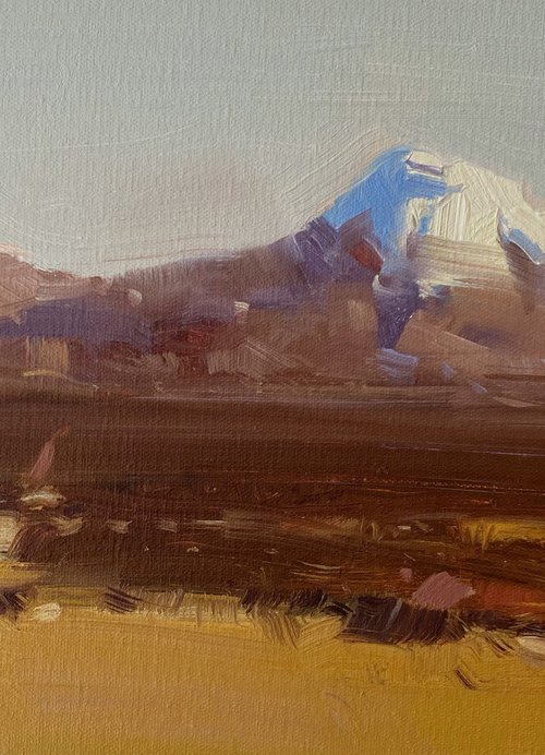 Ararat, Original oil painting, Handmade artwork, One of a kind by Vahe Yeremyan