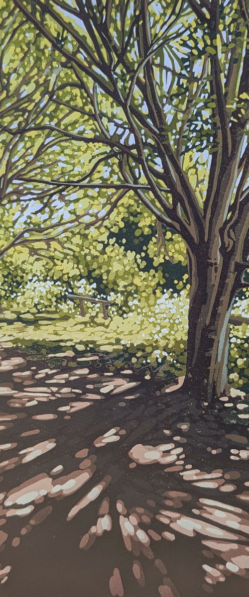 Sunlit Path by Alexandra Buckle