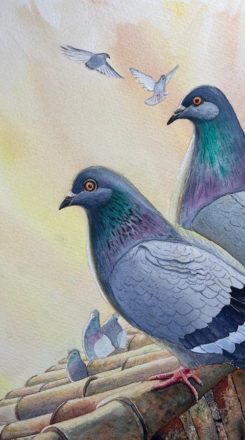 Pigeons on the Roof. by Erkin Yılmaz