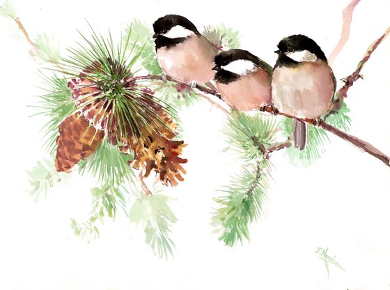 Three Chickadees on the Pine