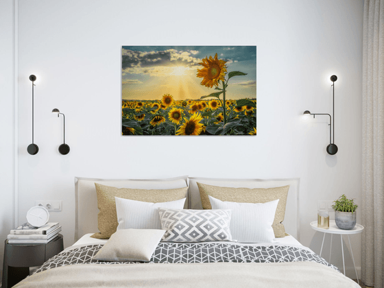 Golden Silence I – Standing in Light