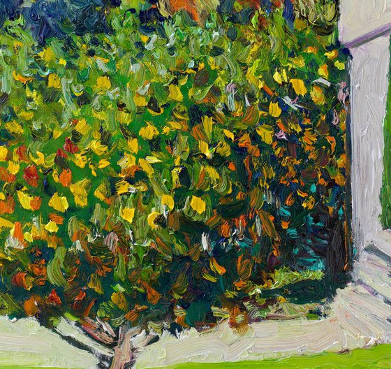 Garden with Lemon Trees