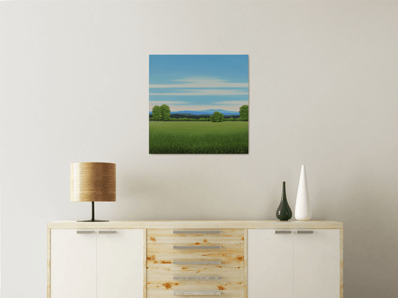 Summer Green Field - Blue Sky