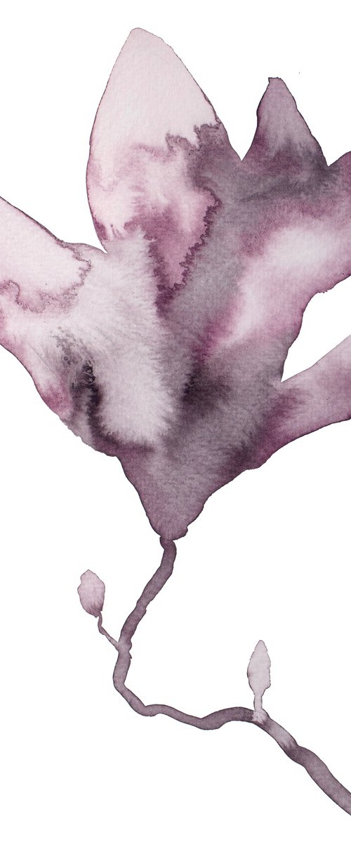 Magnolia No. 59 by Elizabeth Becker