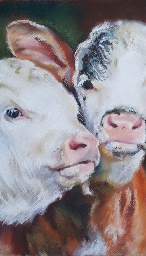 Calves by Magdalena Palega