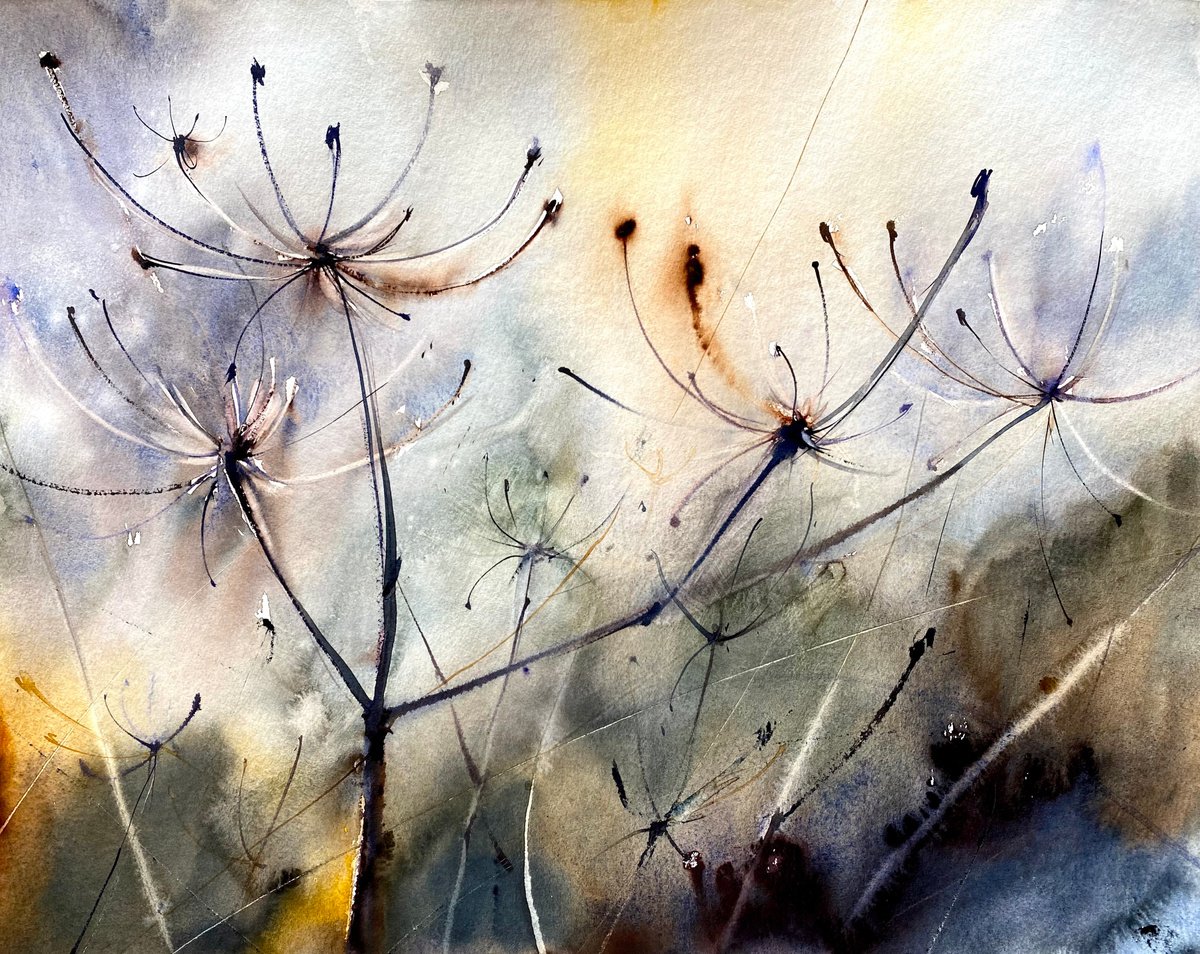 Heracleum 2 - floral painting by Anna Boginskaia