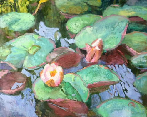 Water lilies 50 *40 by Svitlana Druzhko