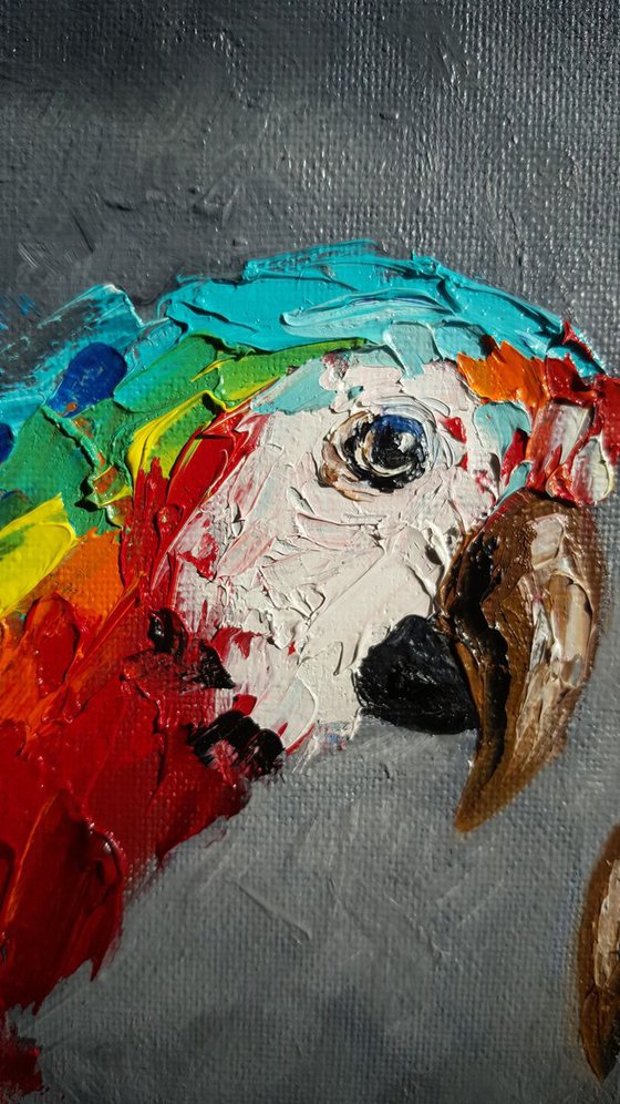 Splash - bird, parrots, painting on canvas, gift, love, birds love, parrots art, art bird, animals, oil painting,  palette knife, gift idea