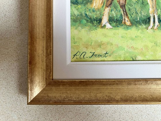 Welsh Cob and Foal