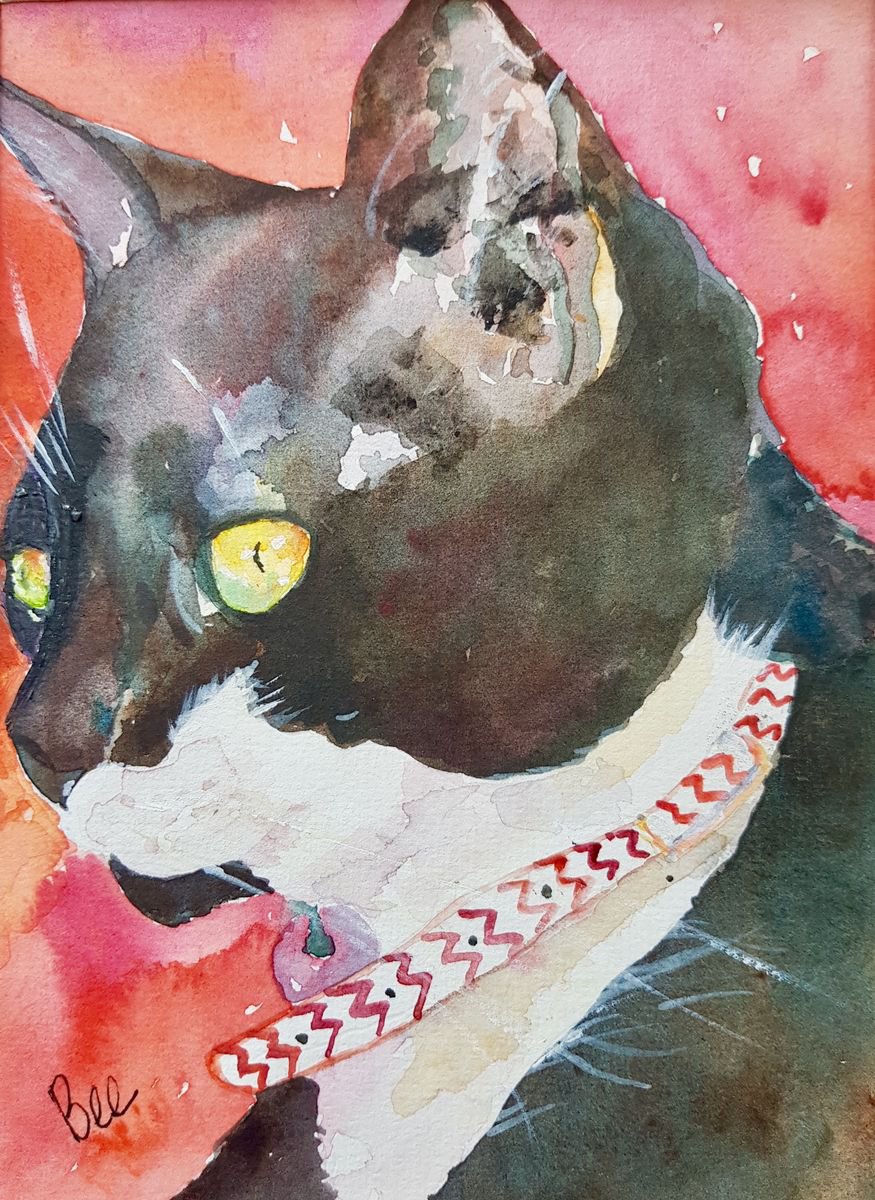 Little black and white cat by Bee Inch