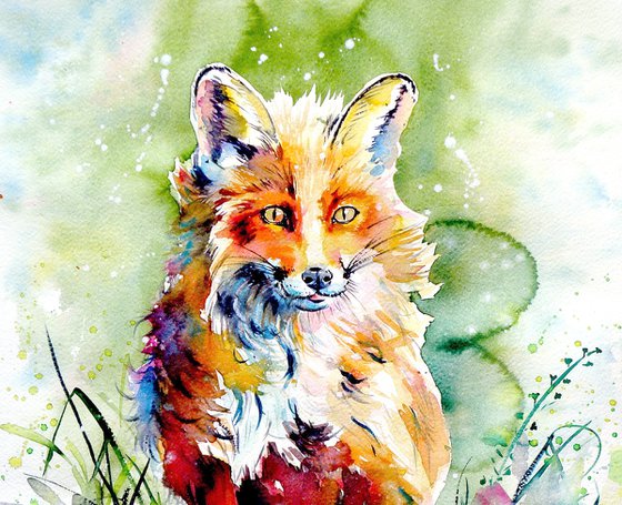 Red fox II