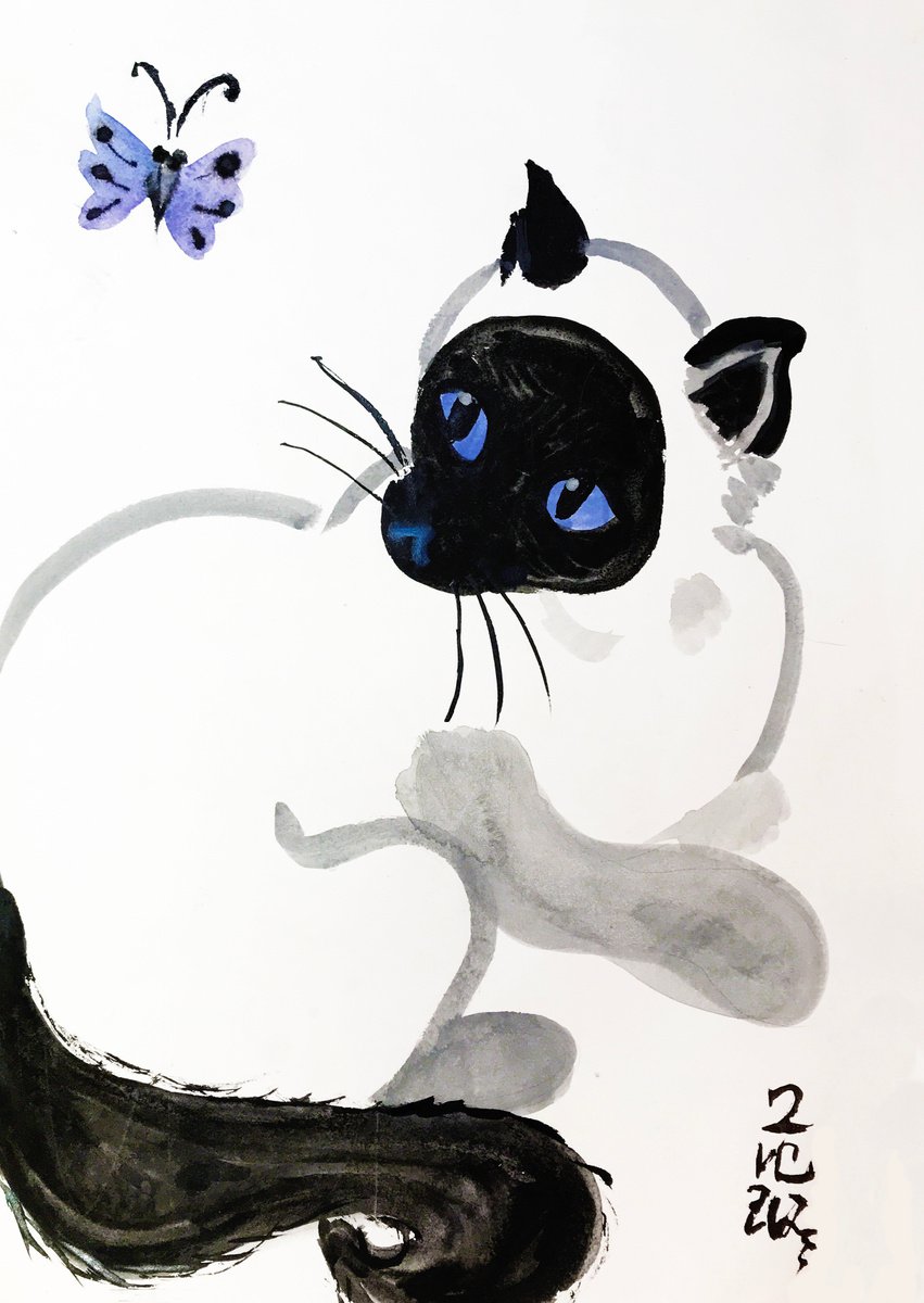 Siamese cat and butterfly by Anastasia Terskih