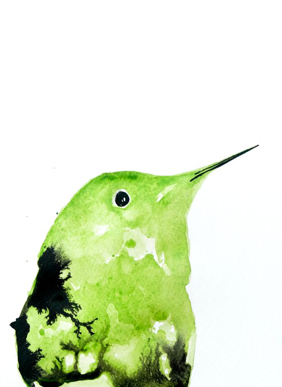 Set of 4 Bird paintings.