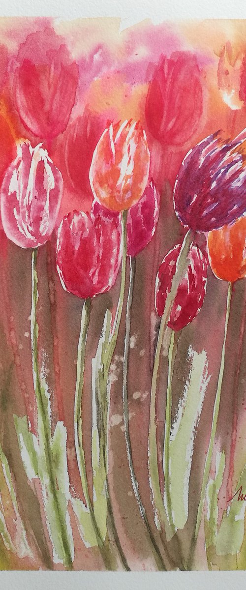 Tulips by Monica Rus