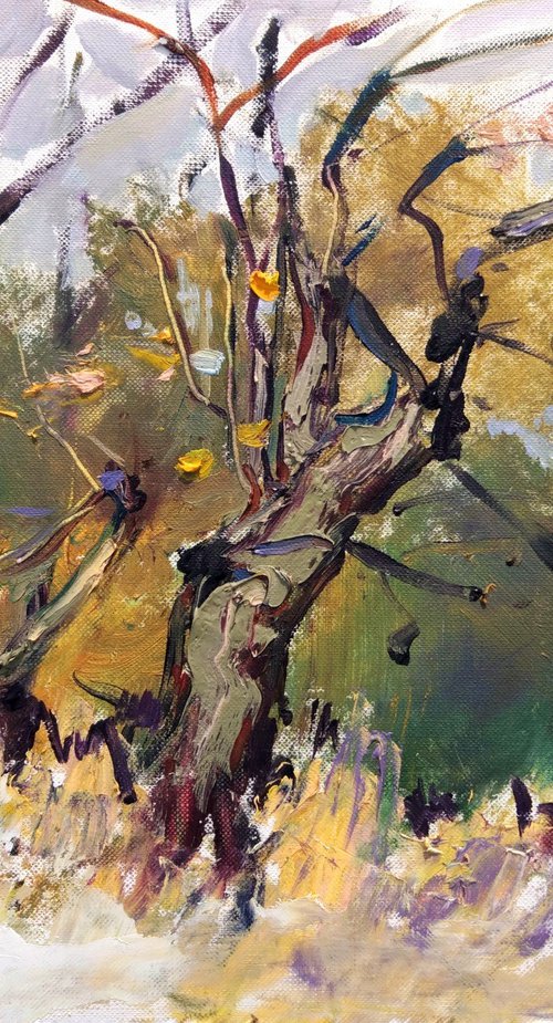 Old tree etude a la prima . Moments of autumn . Original oil painting by Helen Shukina
