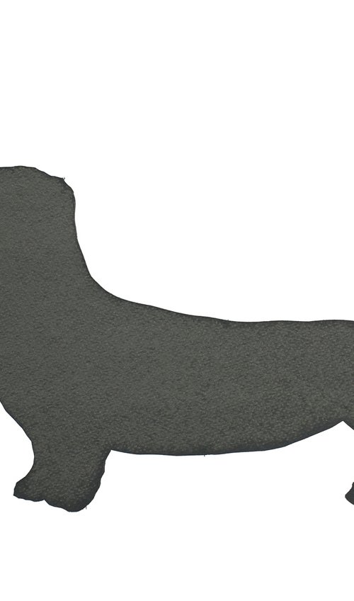 DACHSHUND -unframed-FREE UK DELIVERY by Emma Evans-Freke