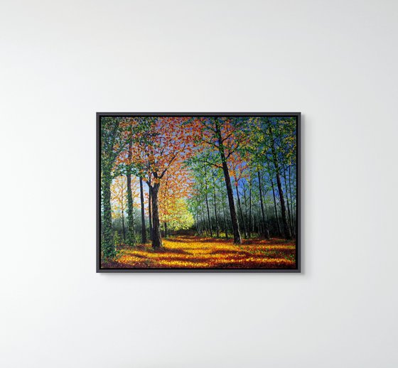 Autumn Forest Glow