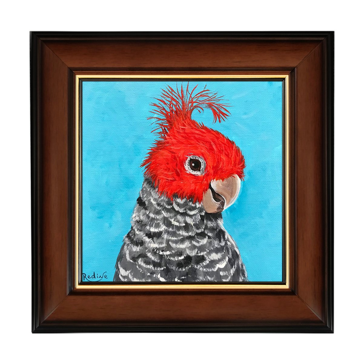 Gang-gang cockatoo portrait by Irina Redine