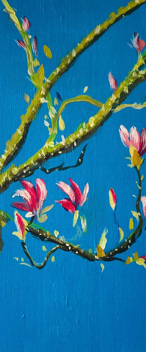 Magnolia In Spring 4 by Shabs  Beigh