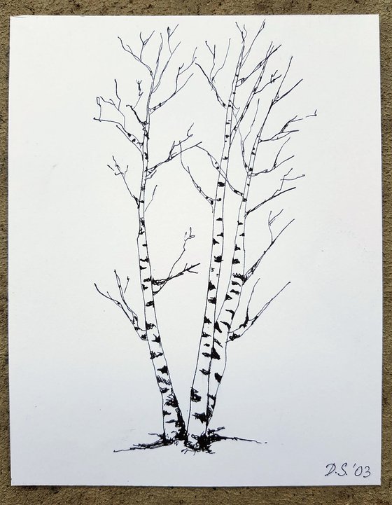 Three Birch Trees