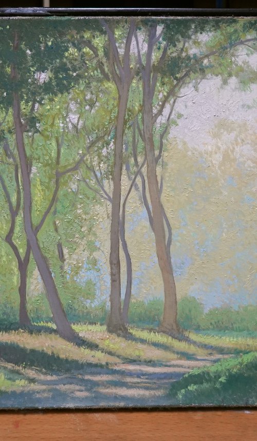 Morning Shade by RuoShen