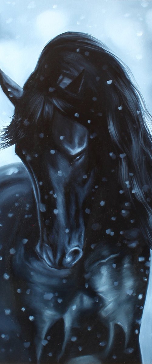Friesian by Marie Madej