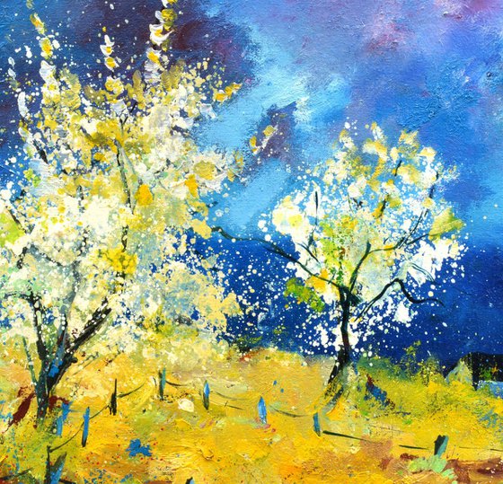 Orchard in spring- 6523