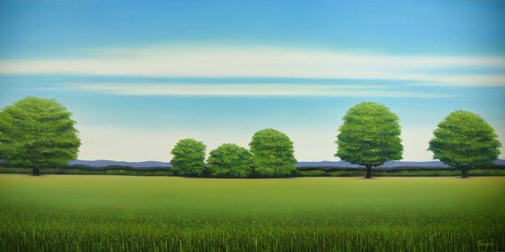 Green Trees - Blue Sky