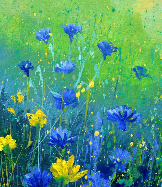 Daisies