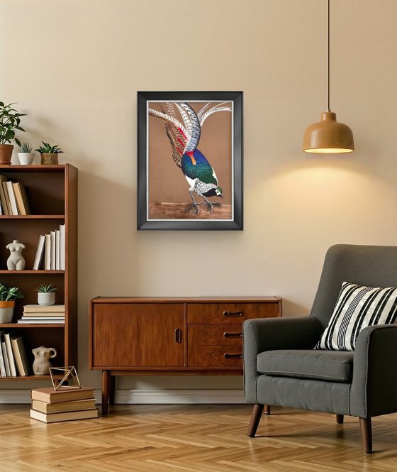 LADY AMHERST’S PHEASANT