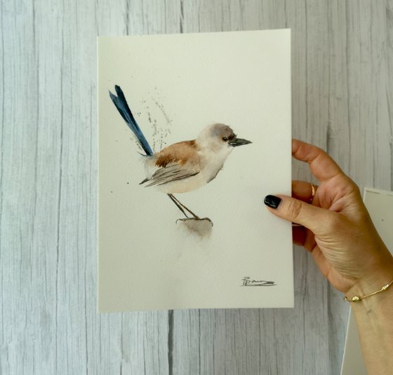 Wrens - triptych