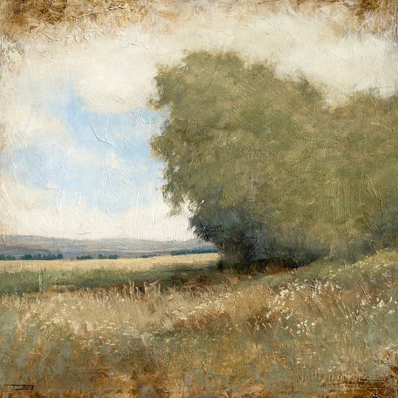 Summer Trees 260902