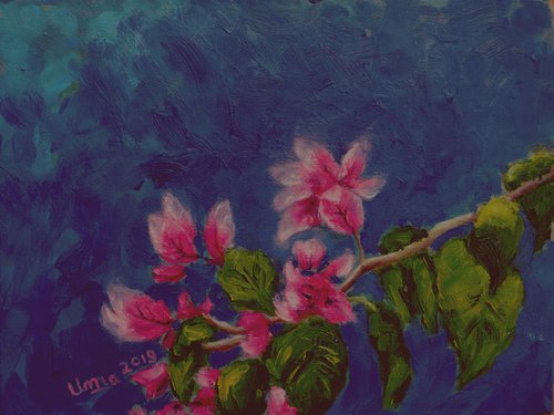 Pink by Uma  Krishnamoorthy
