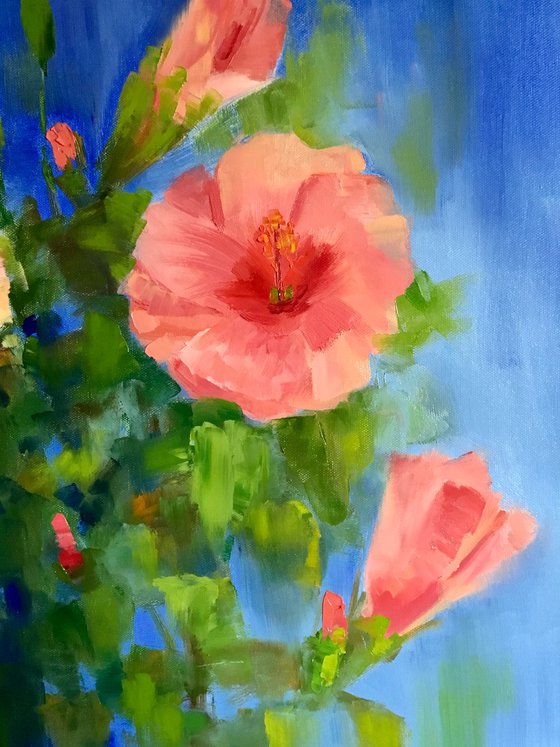 HIBISCUS