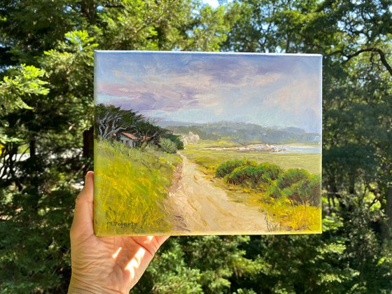 Walk On Wedding Rock Trail, Carmel-by-the-Sea