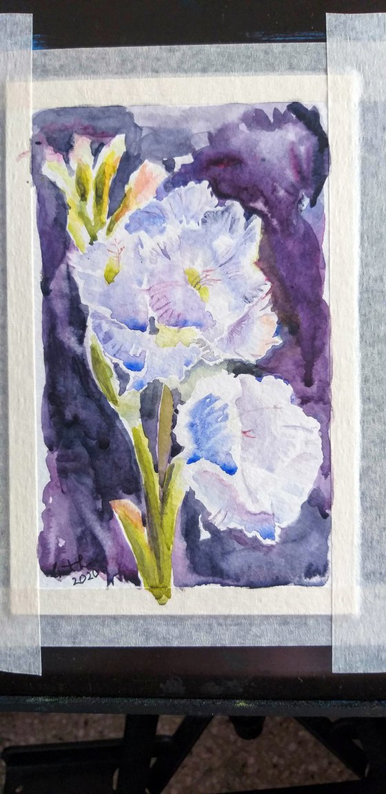 Flowers watercolor