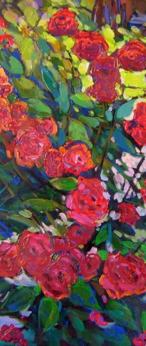 roses in the garden by Sergey  Kachin