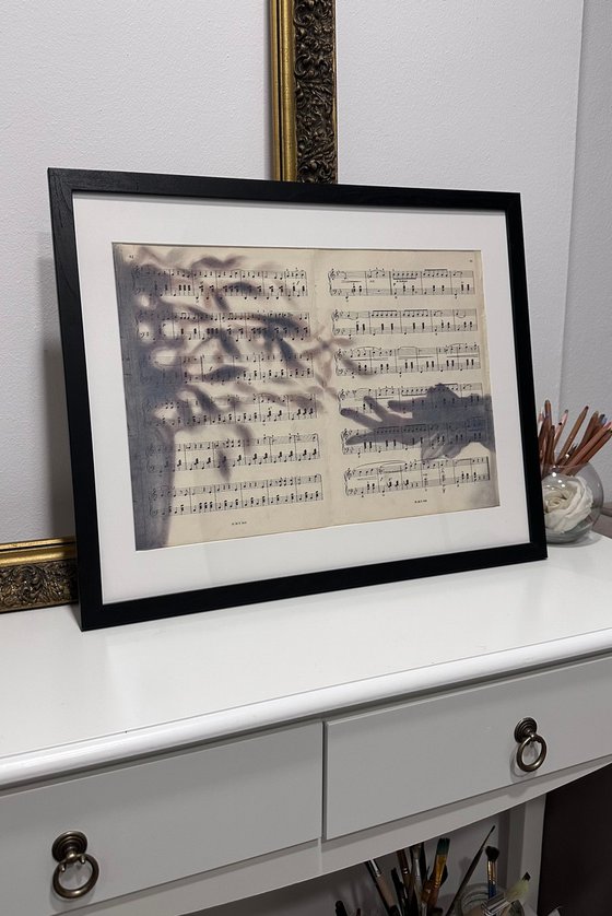 Silhouette Hand And Leaves on Music Sheet