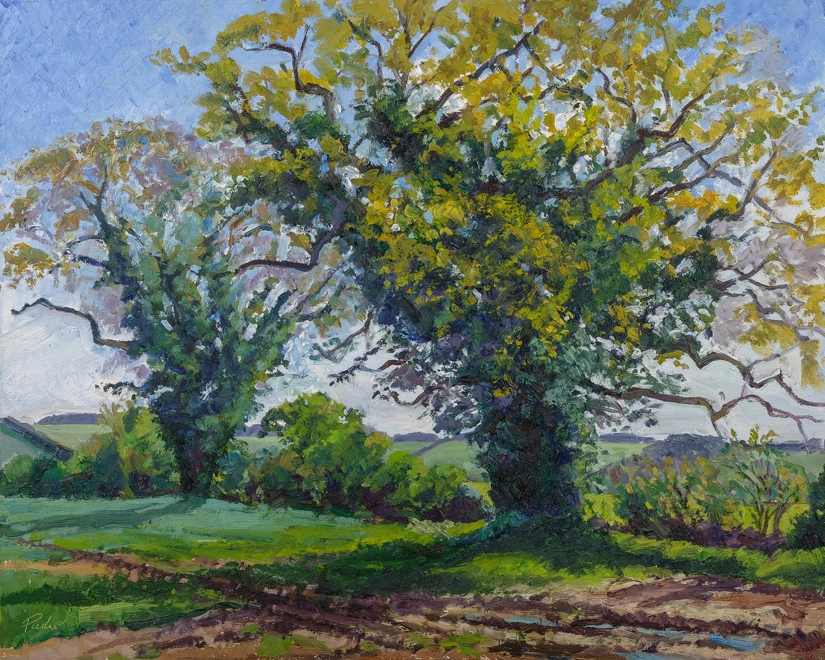 Expressive Landscape Oil Painting By Jeff Parker, 20 X 16, May Oaks, Coxwold, Original Artwork