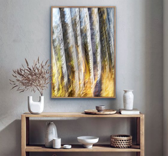Birches (studio 6)