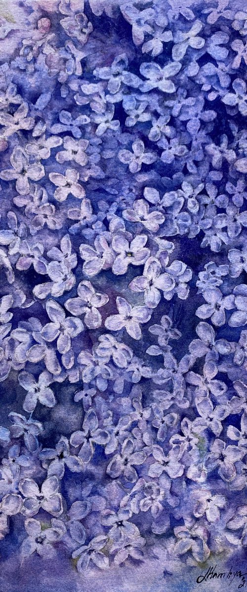 Lilac dreams by Leyla Kamliya