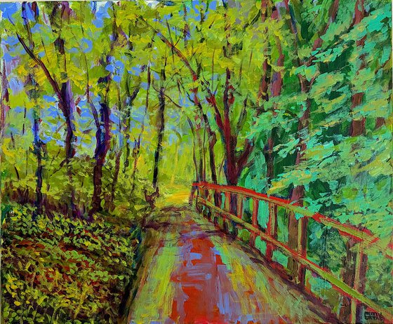 Woodland Path